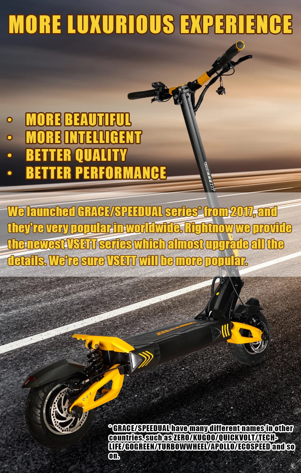 VSETT 10+ 10 Inch Off-Road Electric Scooter VSETT10+ Upgraded ZERO 10X Hoverboard Double Drive 60V 2800W Dual Motor VSSET MACURY