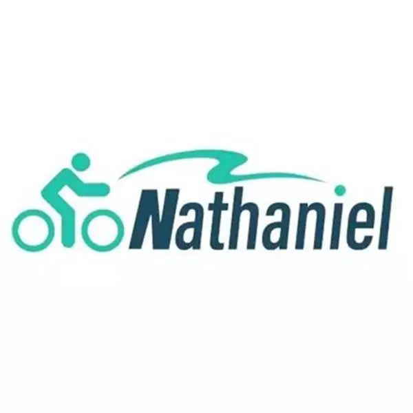 Nathaniel SYR08 2000W Dual Motor E-Bike,20*4.0 Fat Tire,20AH Detachable battery,Speed 50+,Daily commuting, Adult Electric Bike