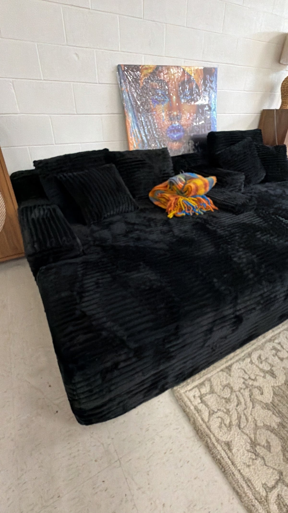 Luxurious Black Plush Sofa