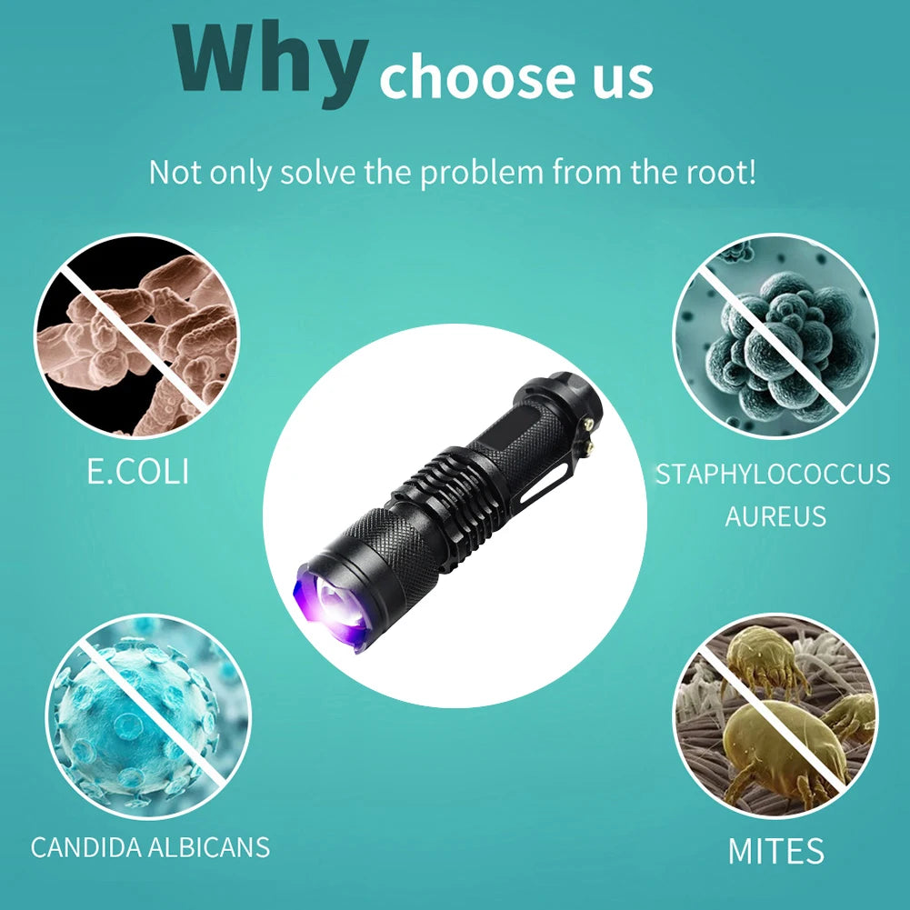 365/395Nm Mini LED UV Flashlight Ultraviolet Light Money Verification Lamp Pet Urine Stain Detector Tools Ultraviolet Torch